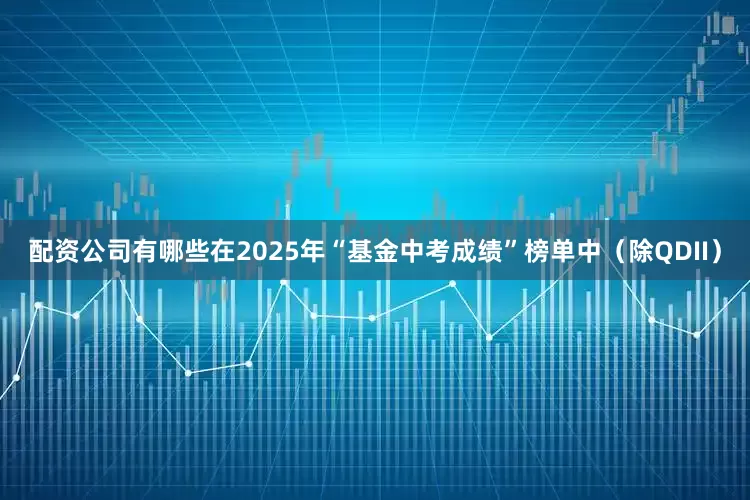 配资公司有哪些在2025年“基金中考成绩”榜单中（除QDII）