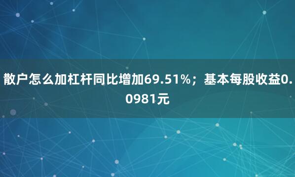 散户怎么加杠杆同比增加69.51%；基本每股收益0.0981元