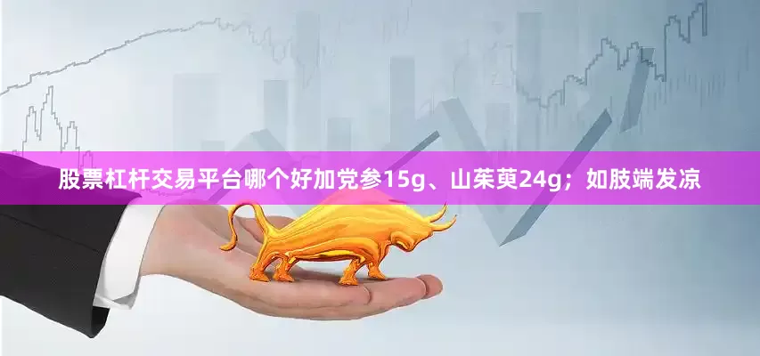 股票杠杆交易平台哪个好加党参15g、山茱萸24g；如肢端发凉